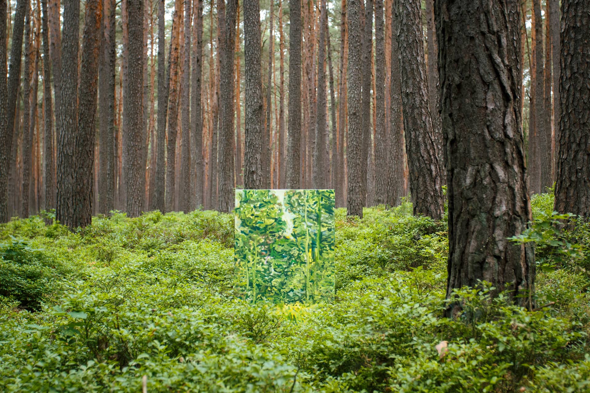 Grüne moderne Kunst in Acryl auf Leinwand von der Natur inspiriert und im Wald bei Nürnberg fotografiert